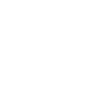 Adult Dragon