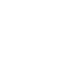 Young dragon
